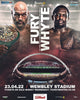 Heavyweight Rumble in Wembley Stadium