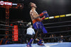 Donaire and Loma in Action