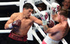 What's Next for Bivol?
