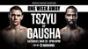 It's Showtime for Tszyu
