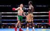 A Good Night of Boxing