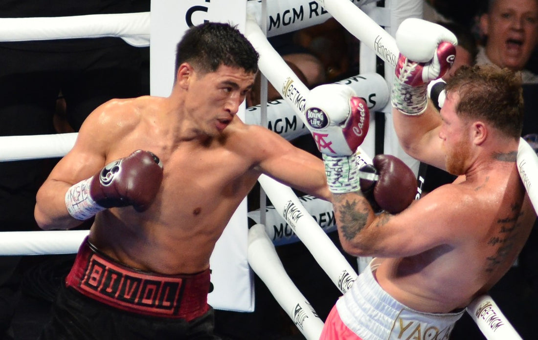 What's Next for Bivol?