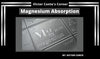 Magnesium Absorption