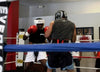 Andre Berto and Karim Mayfrield